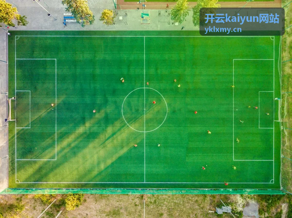 开云kaiyun网站安全与保障分类封面